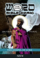 NIV Word For Word Bible Comic Gospel of Luke (Word For Word Bible Comic Series)