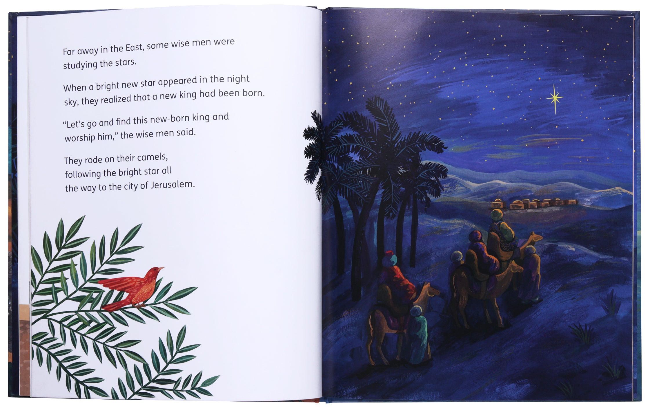 My Big Story Bible: The First Christmas