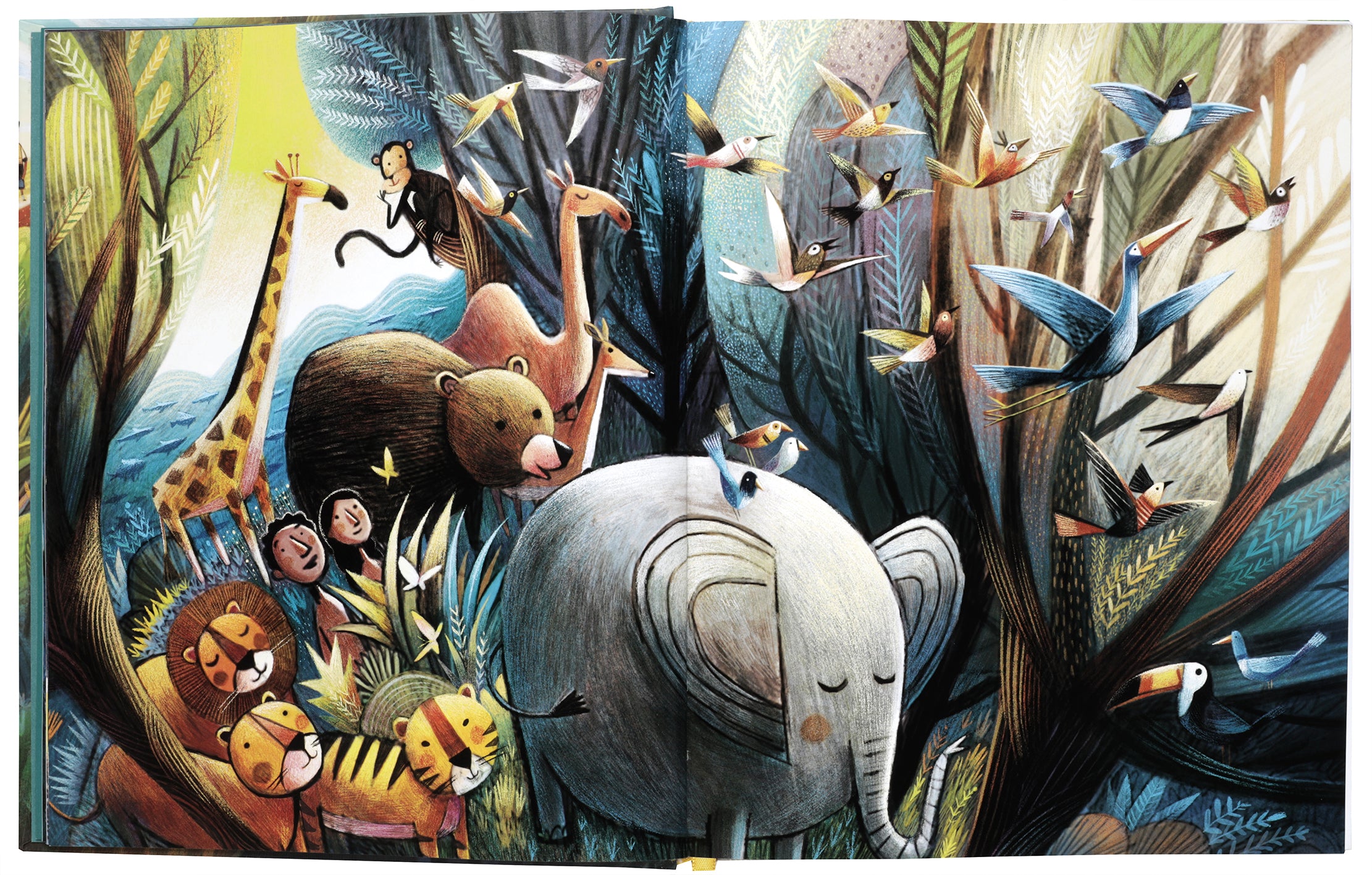 God's Colourful Kingdom Storybook Bible: The Story of God’s Big Diverse Family