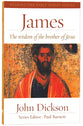 James: The Wisdom of the Brother of Jesus (Reading The Bible Today Series)