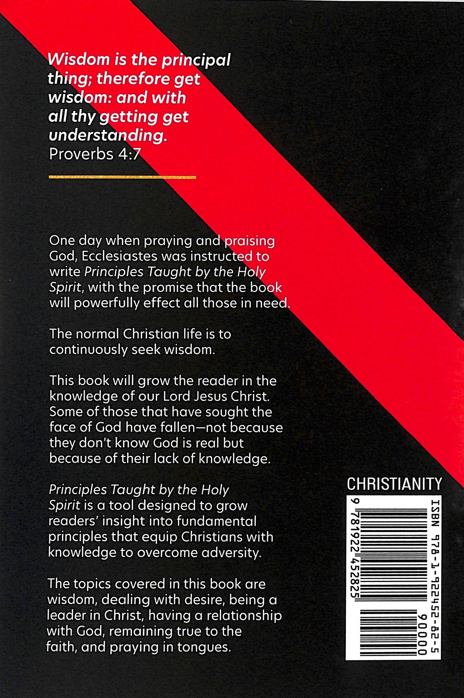 Principles Taught By the Holy Spirit (6 Easy To Follow Principles)