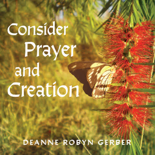 Consider Prayer and Creation
