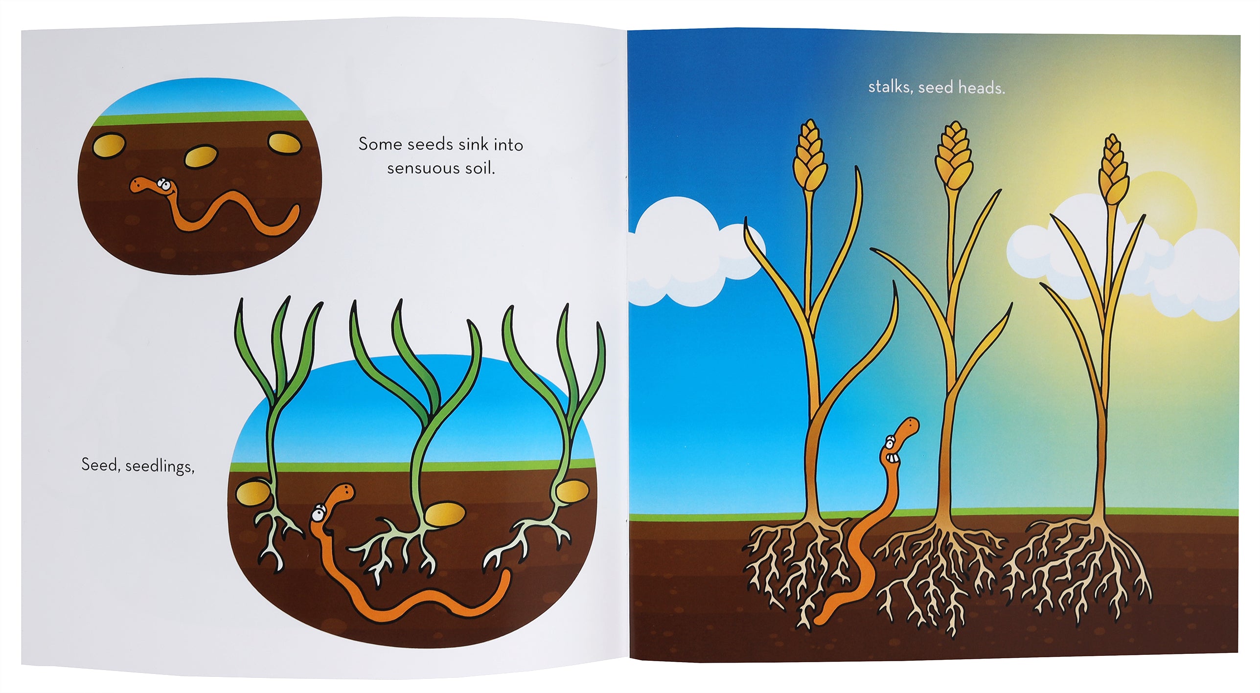 The Sower and the Seed (Lost Sheep Series)