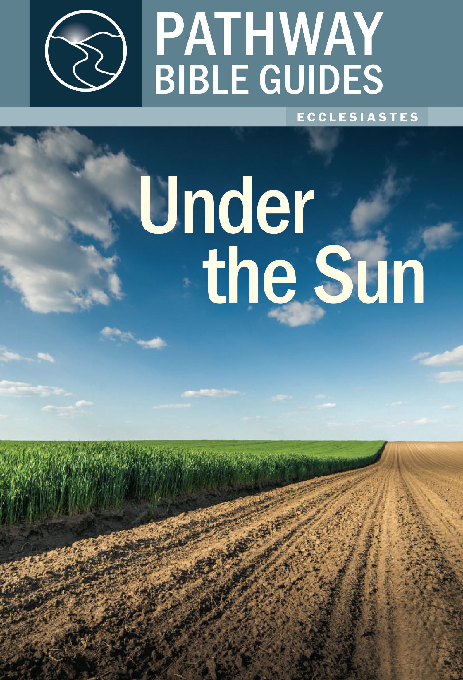 Under the Sun - Ecclesiastes (Includes Leader's Notes) (Pathway Bible Guides Series)