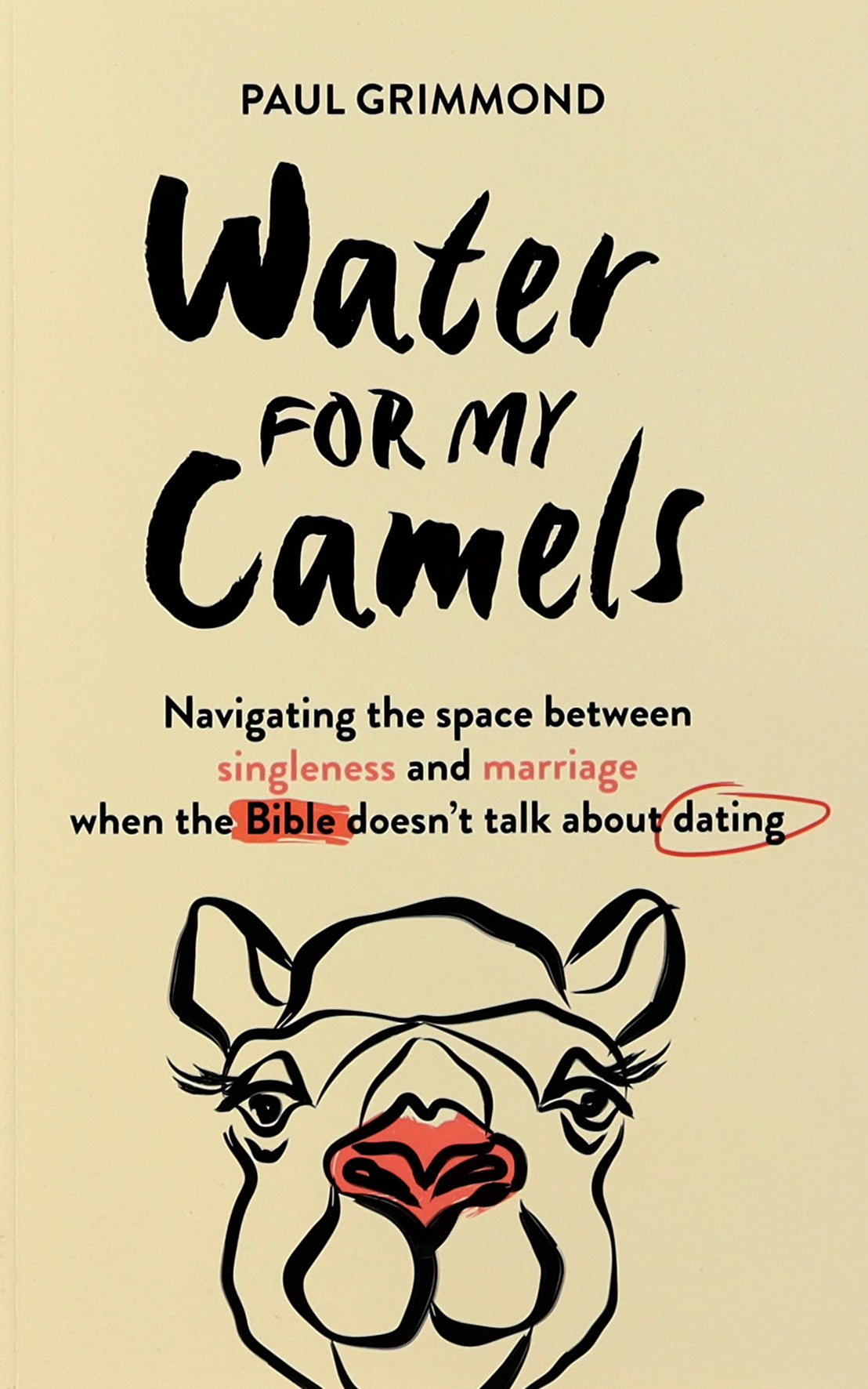 Water For My Camels: Navigating the Space Between Singleness and Marriage When the Bible Doesn't Talk About Dating