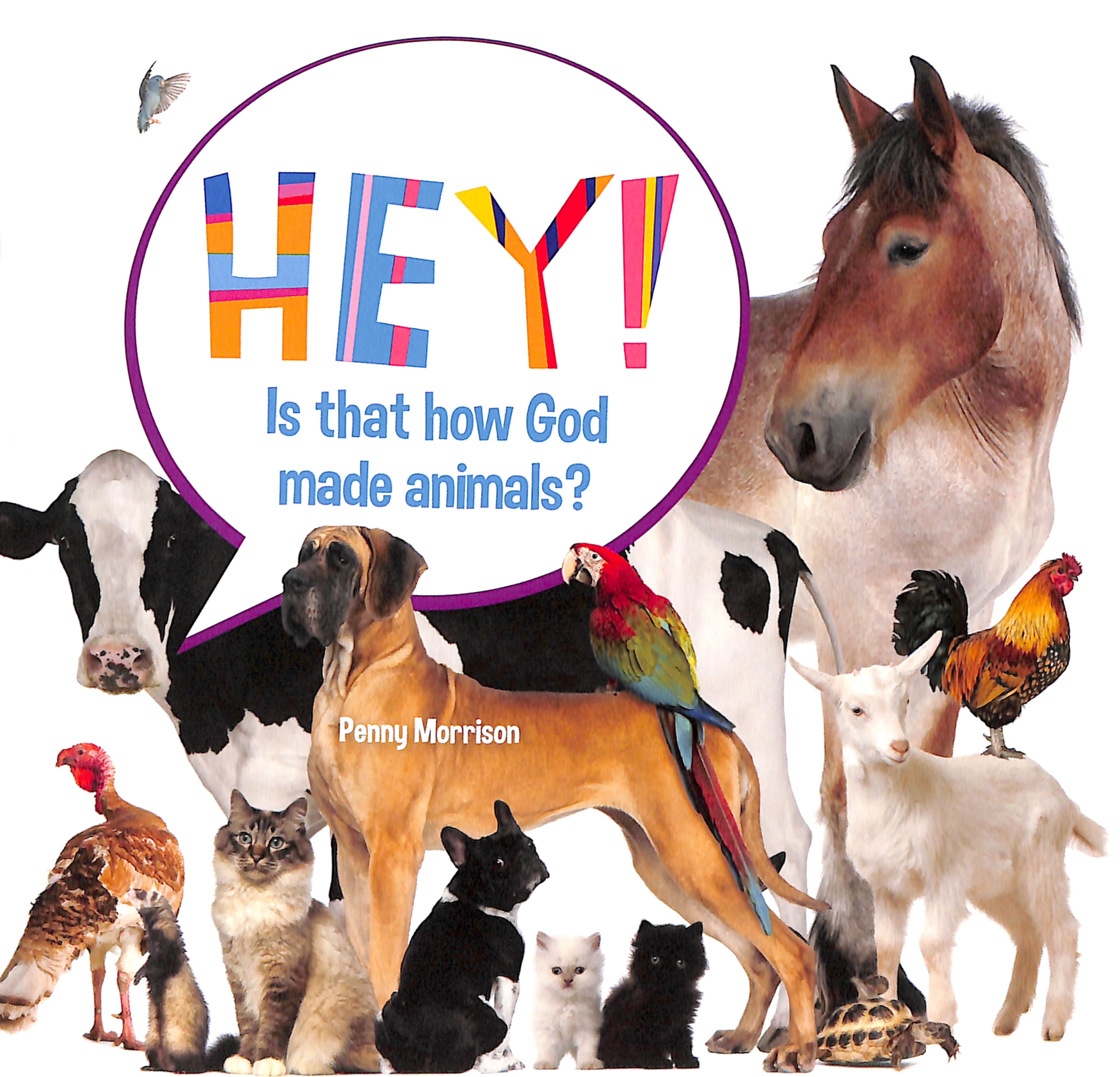 Hey! is That How God Made Animals? (Hey! Series)
