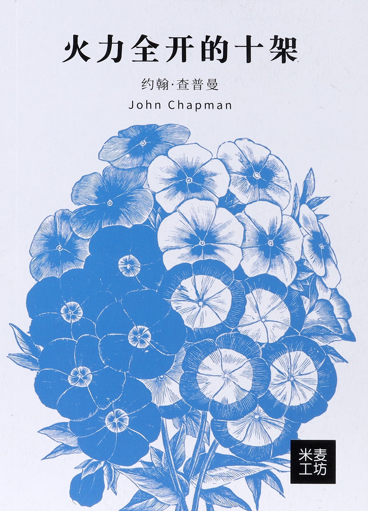 Making the Most of the Cross (Chinese Ed)