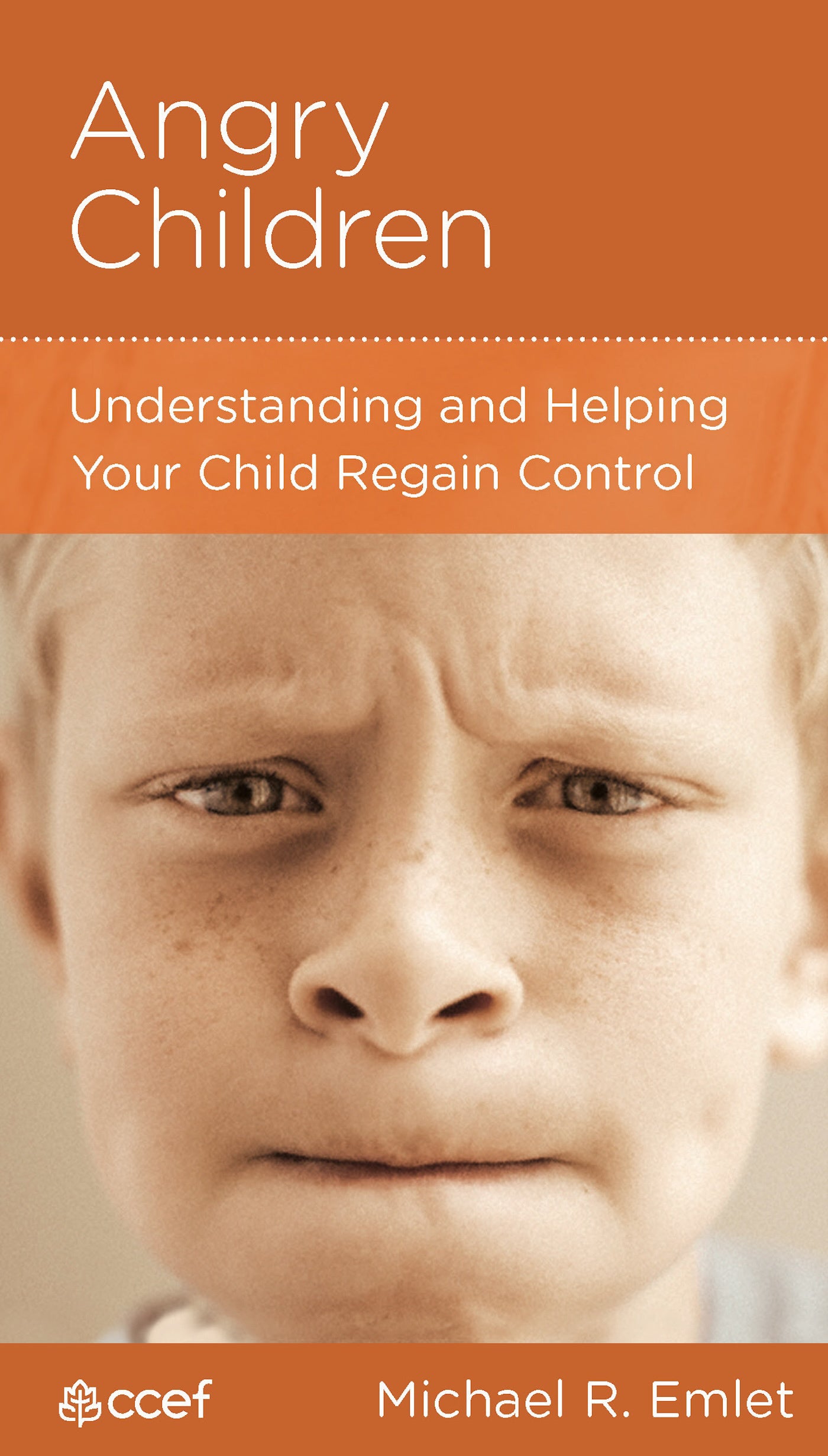Angry Children (Parenting Mini Books Series)