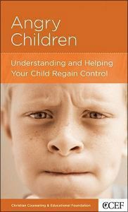 Angry Children (Parenting Mini Books Series)