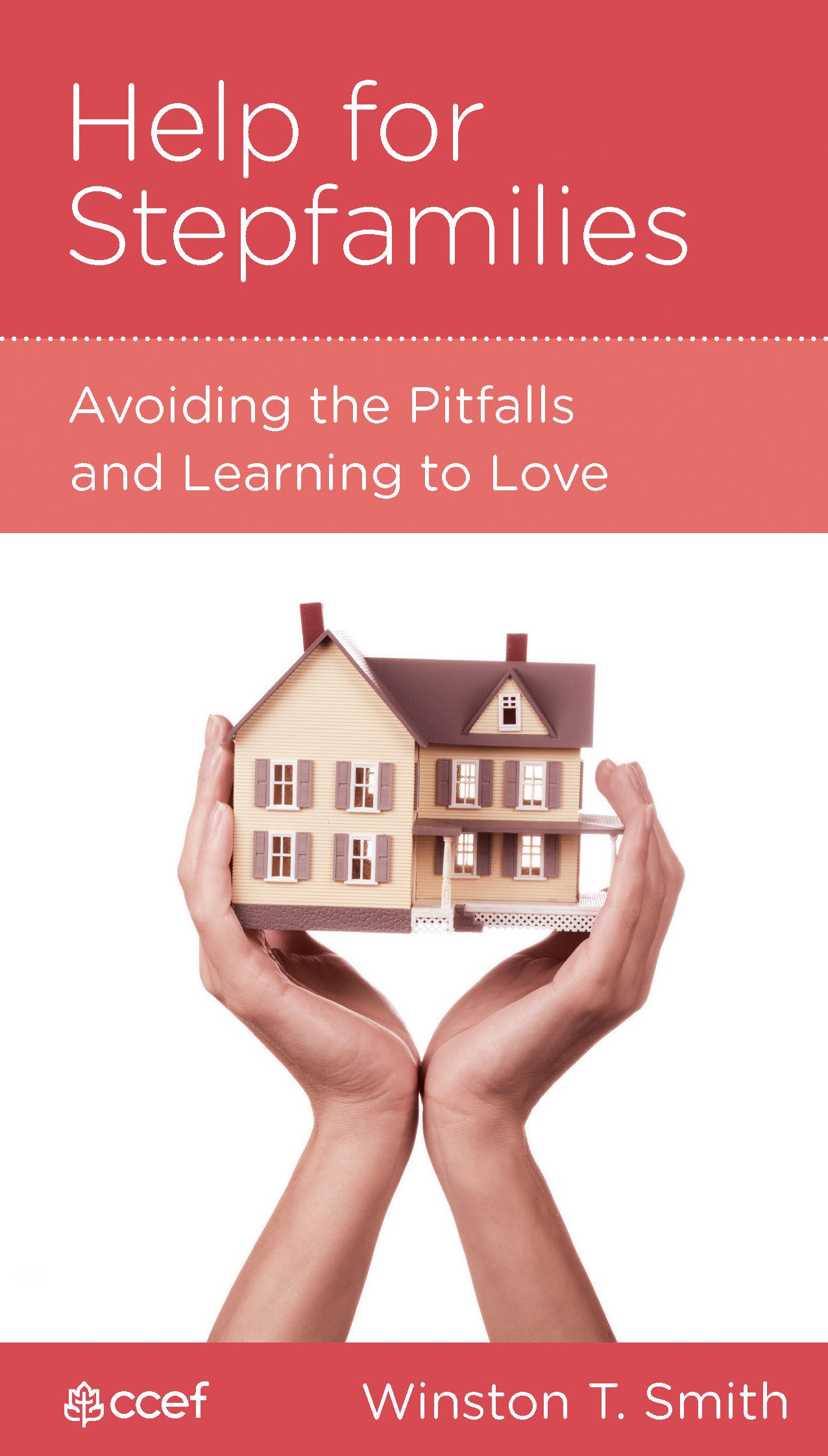 Help For Stepfamilies (Parenting Mini Books Series)