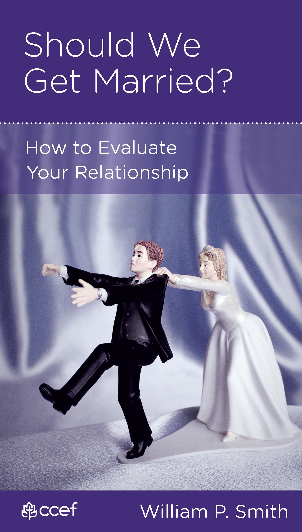 Should We Get Married? (Mini Books For Singles Series)