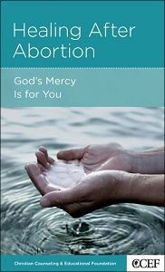 Healing After Abortion (Women To Women Mini Books Series)