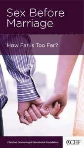 Sex Before Marriage (Mini Books For Singles Series)