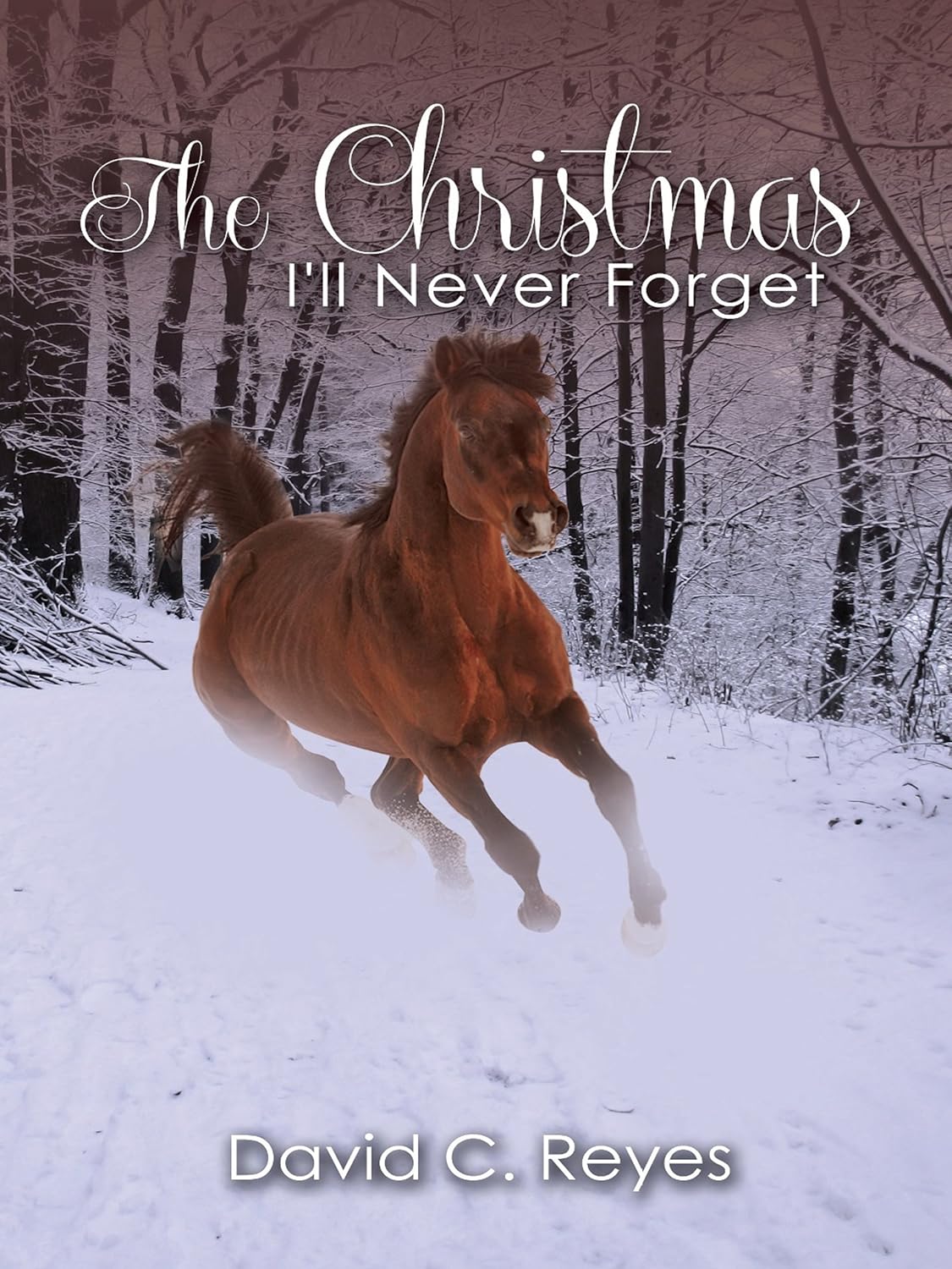 The Christmas I'll Never Forget