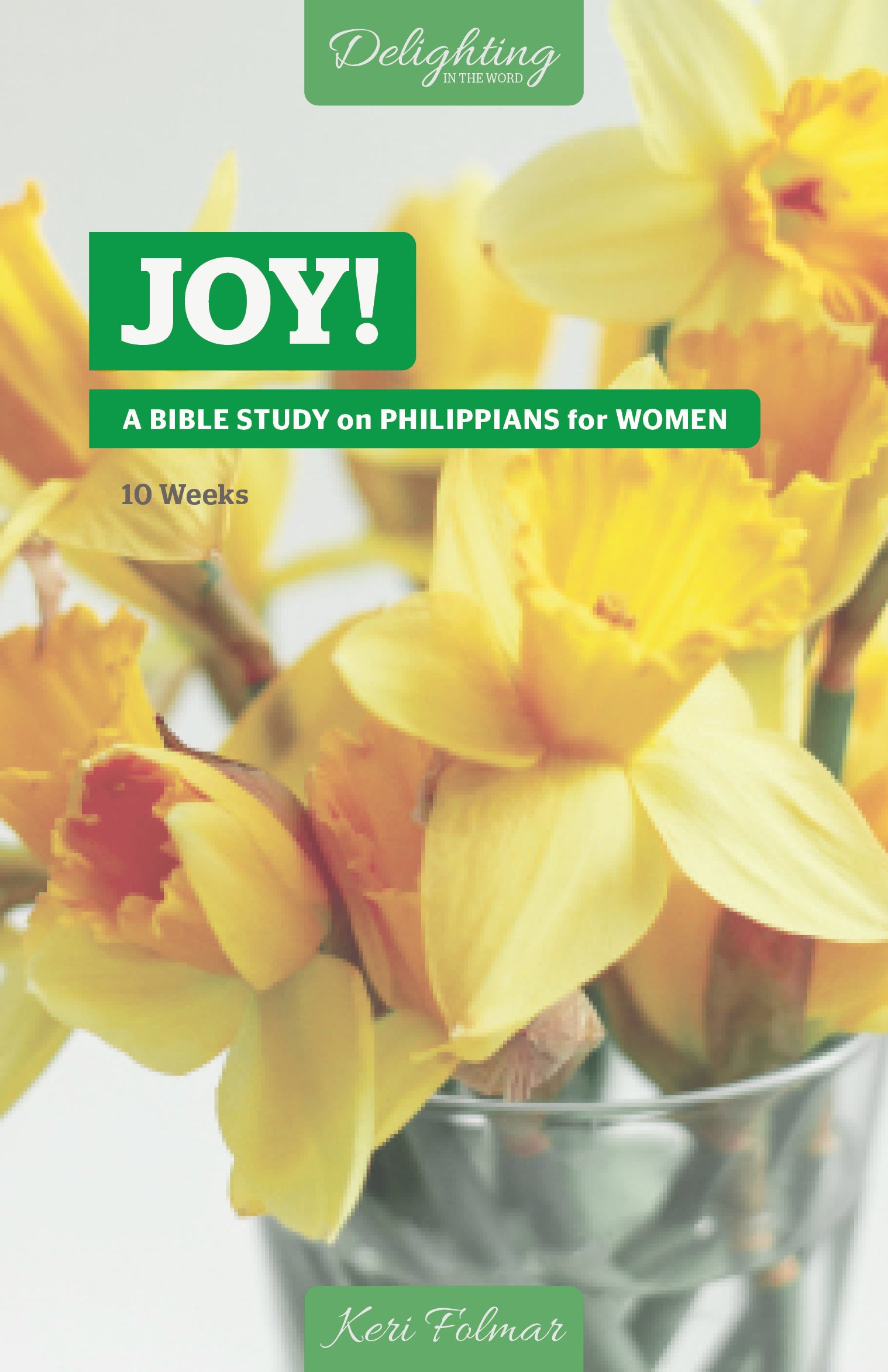 Joy!: A Bible Study on Philippians For Women