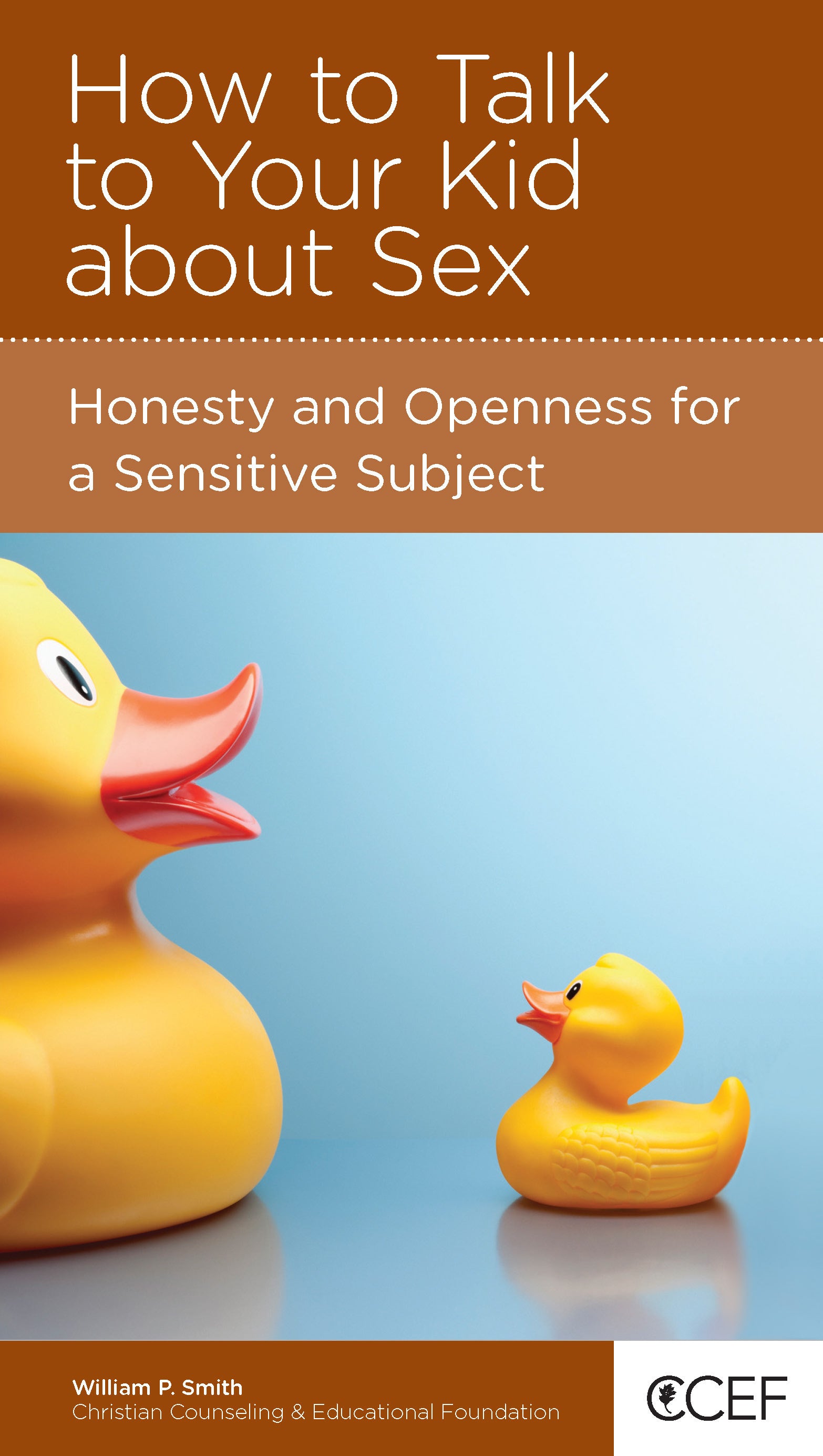 How to Talk to Your Kid About Sex (Parenting Mini Books Series)