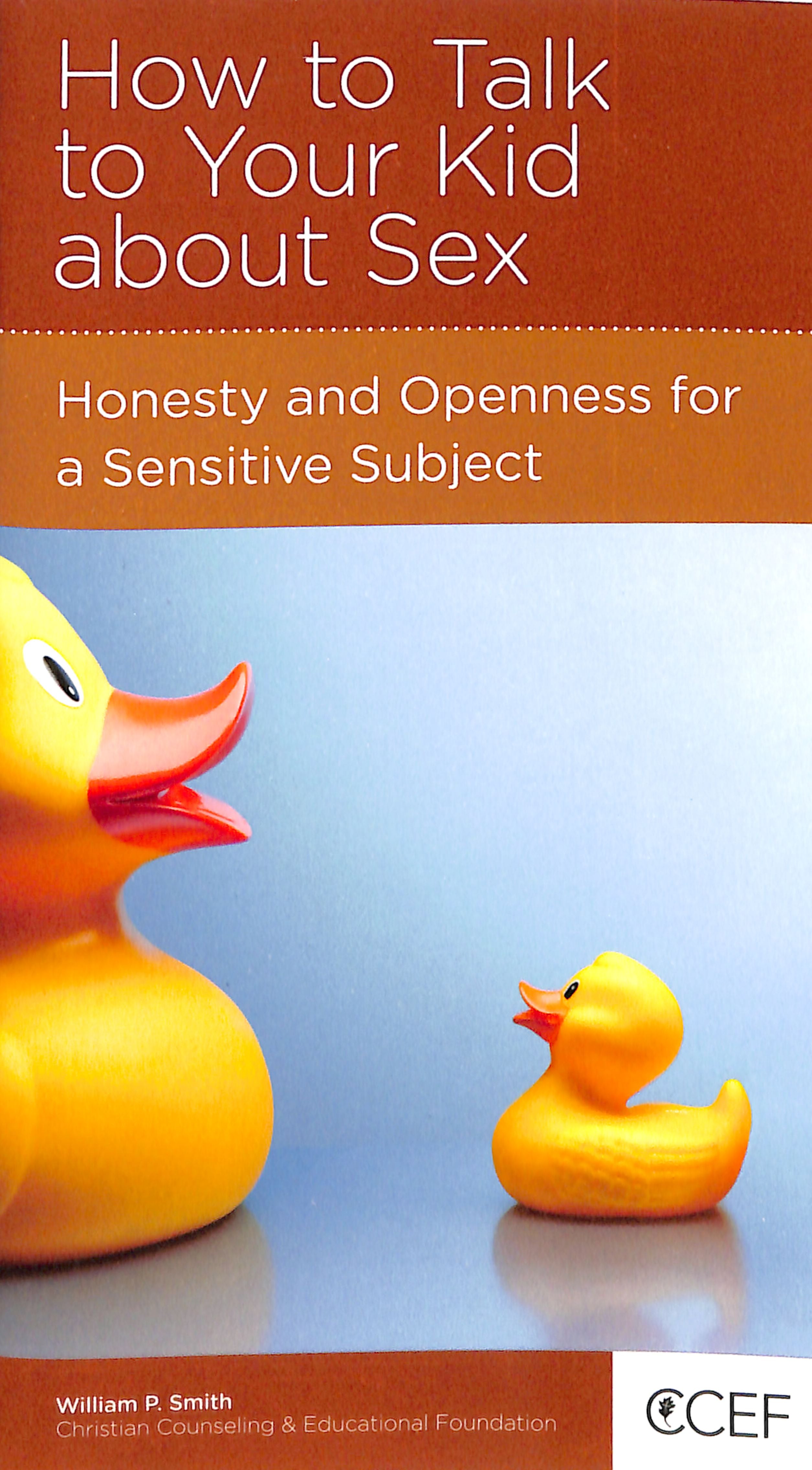 How to Talk to Your Kid About Sex (Parenting Mini Books Series)