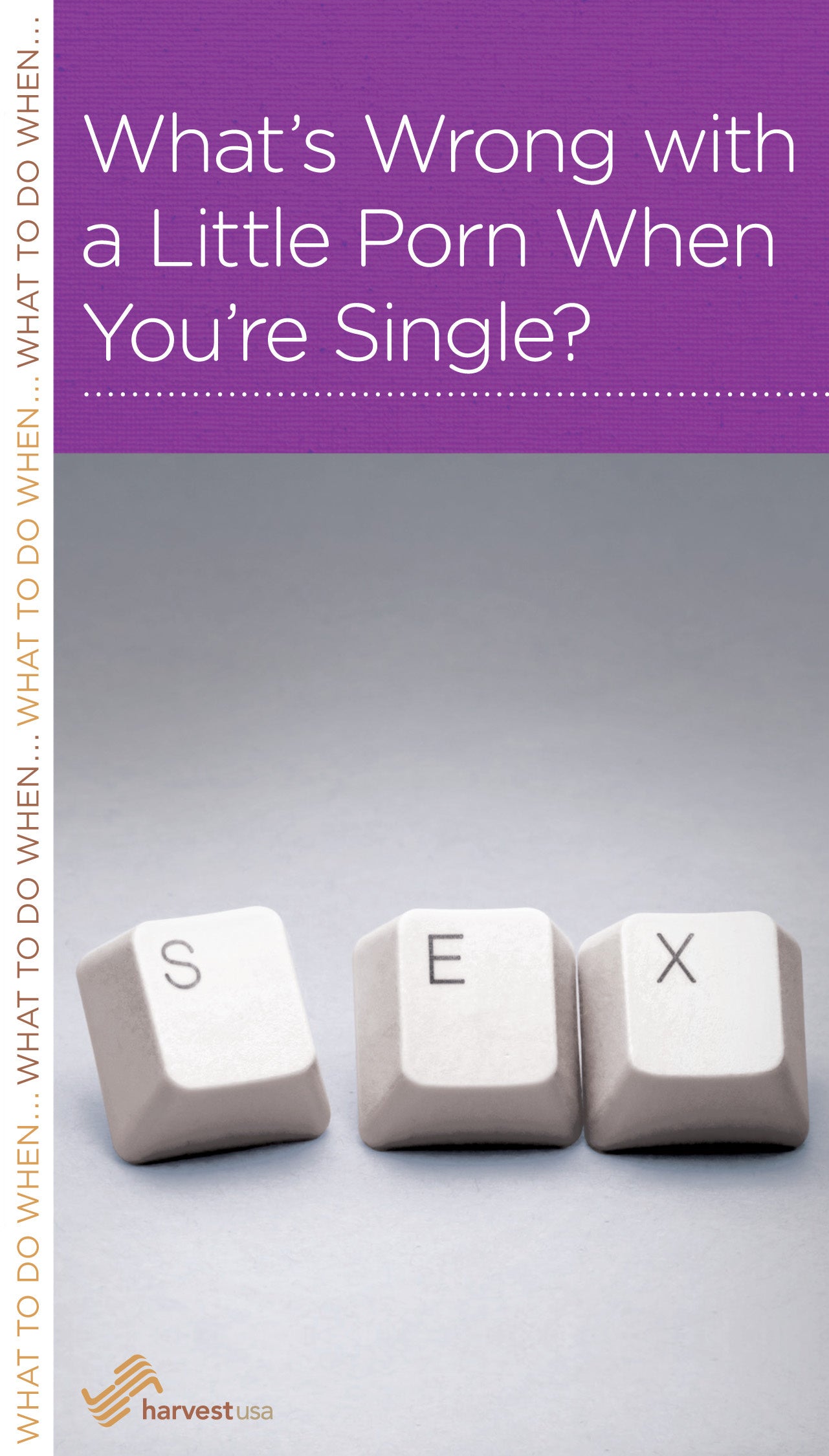 What's Wrong With a Little Porn When You're Single? (Mini Books For Singles Series)