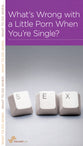 What's Wrong With a Little Porn When You're Single? (Mini Books For Singles Series)