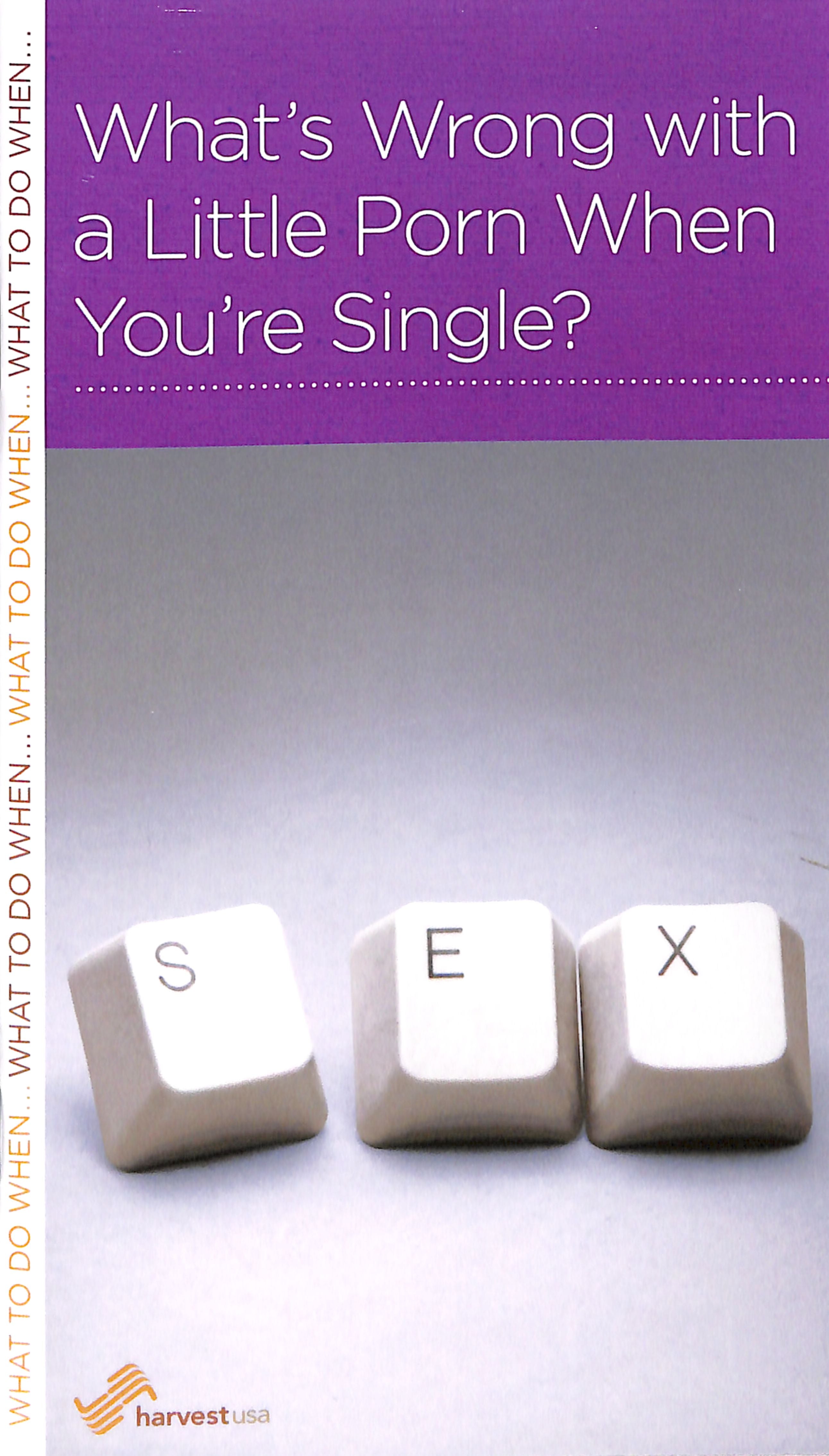 What's Wrong With a Little Porn When You're Single? (Mini Books For Singles Series)