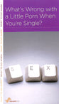 What's Wrong With a Little Porn When You're Single? (Mini Books For Singles Series)