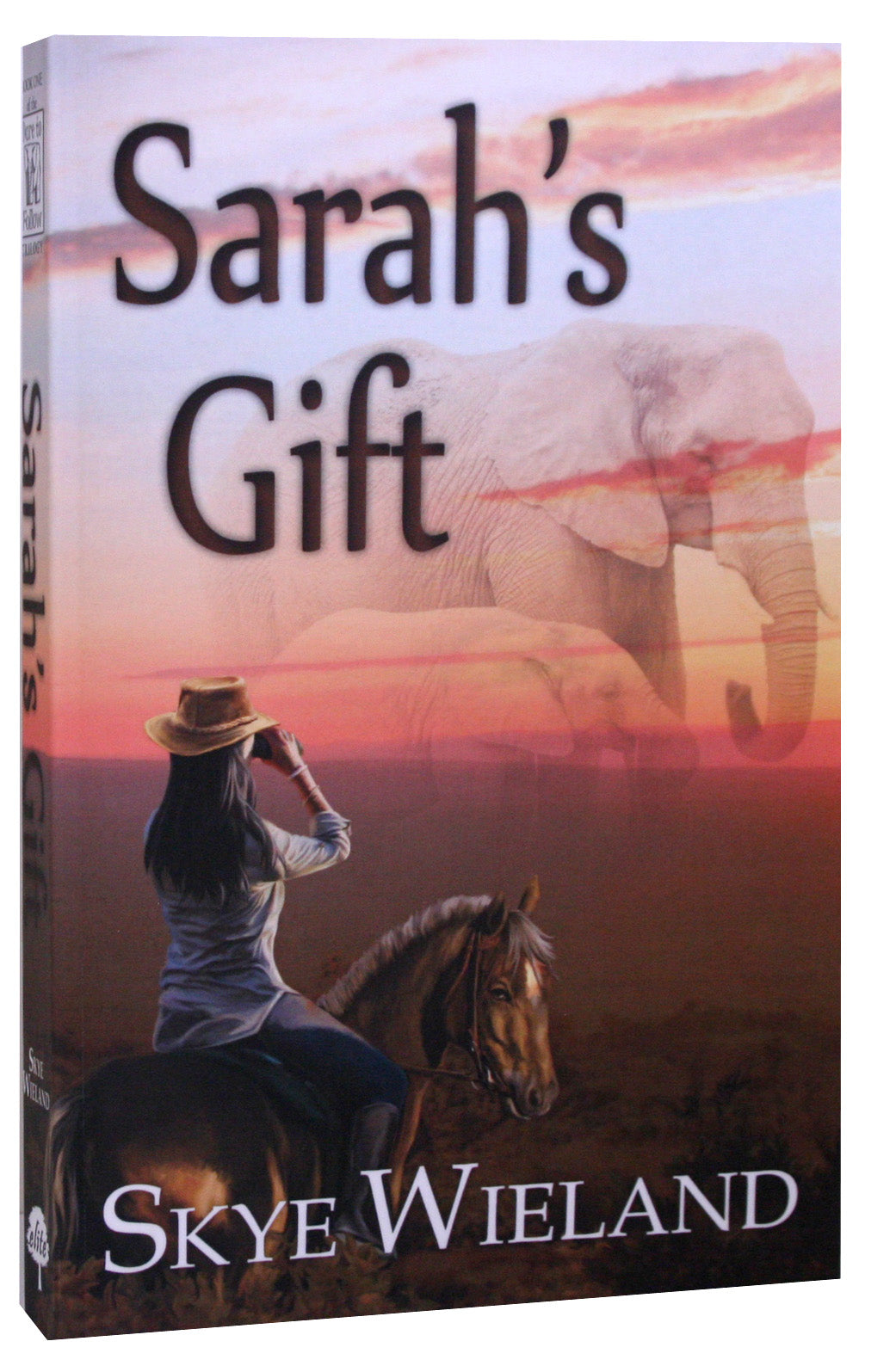 Sarah's Gift