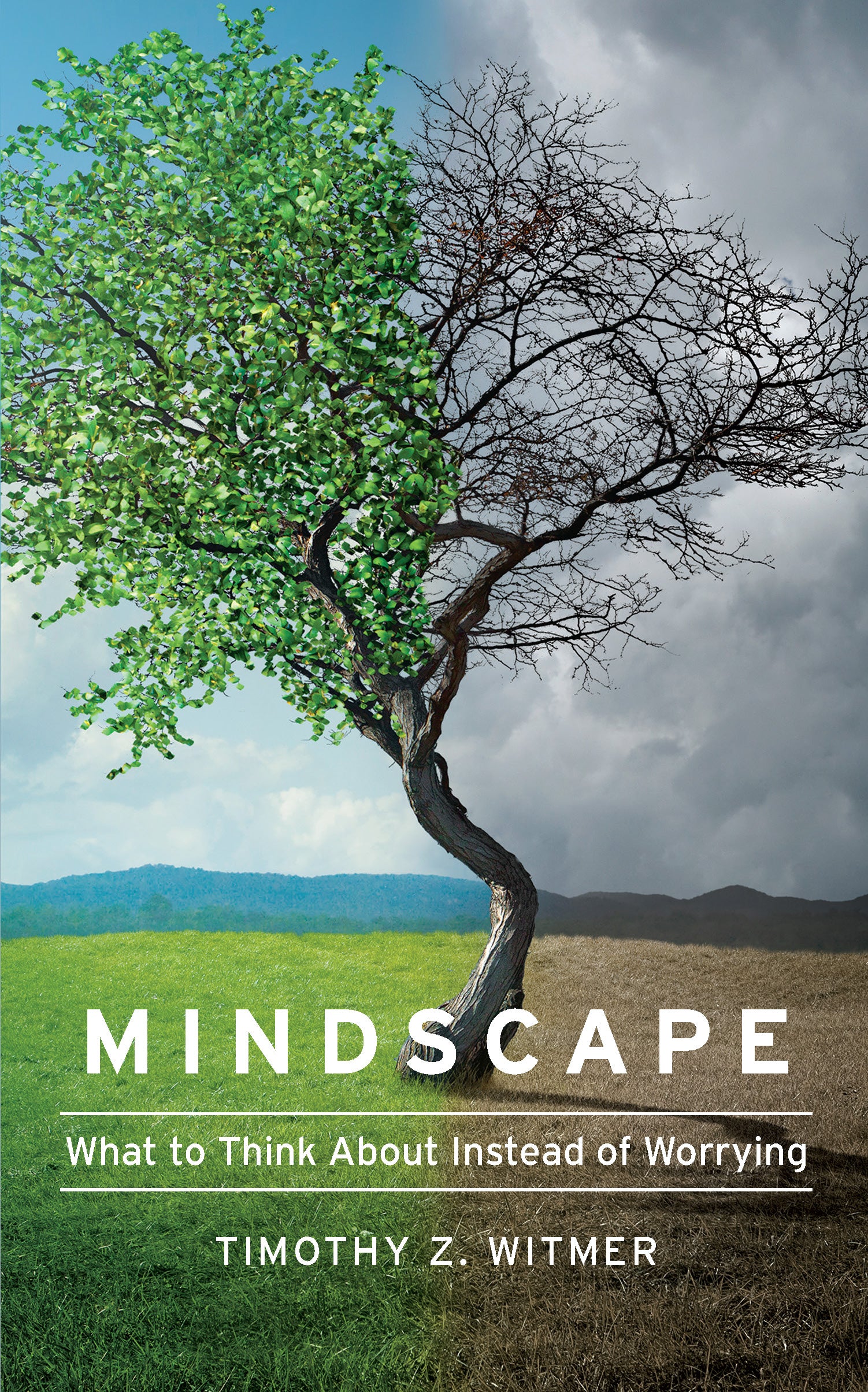 Mindscape