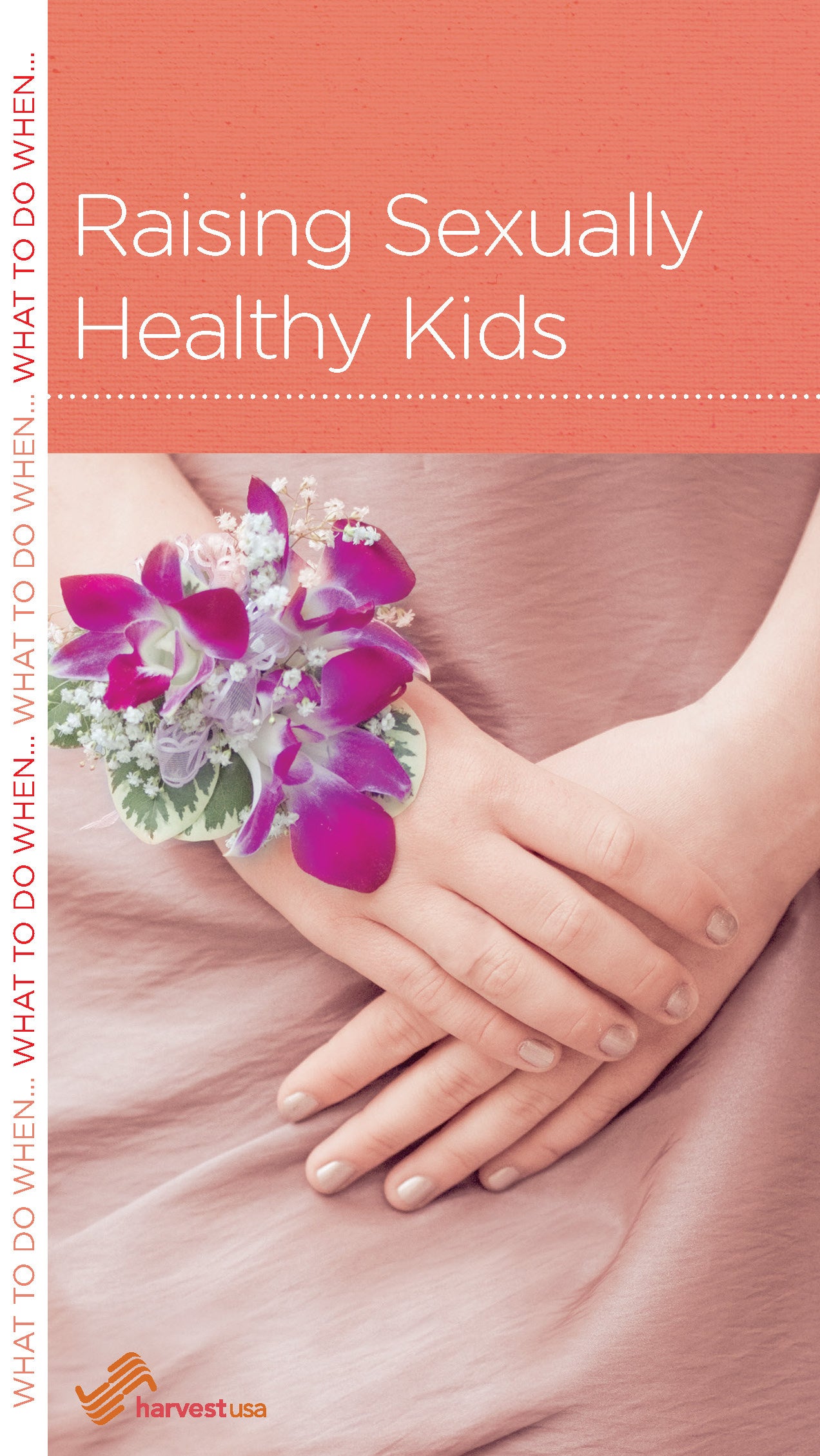 Raising Sexually Healthy Kids (Parenting Mini Books Series)