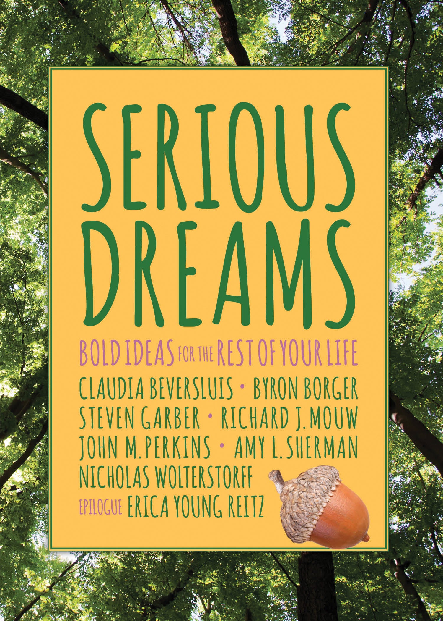 Serious Dreams: Bold Ideas For the Rest of Your Life