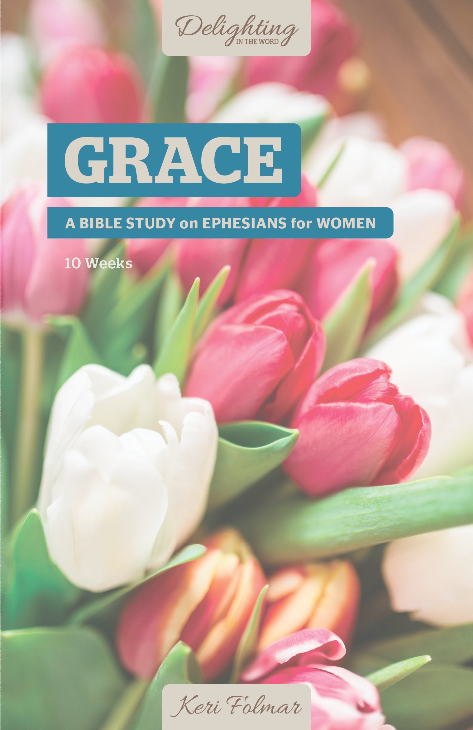 Grace: A Bible Study on Ephesians For Women