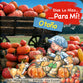 Dios Lo Hizo Para Mi Las Estaciones - El Otono (Autumn) (God Made It For Me Series) (Spanish)