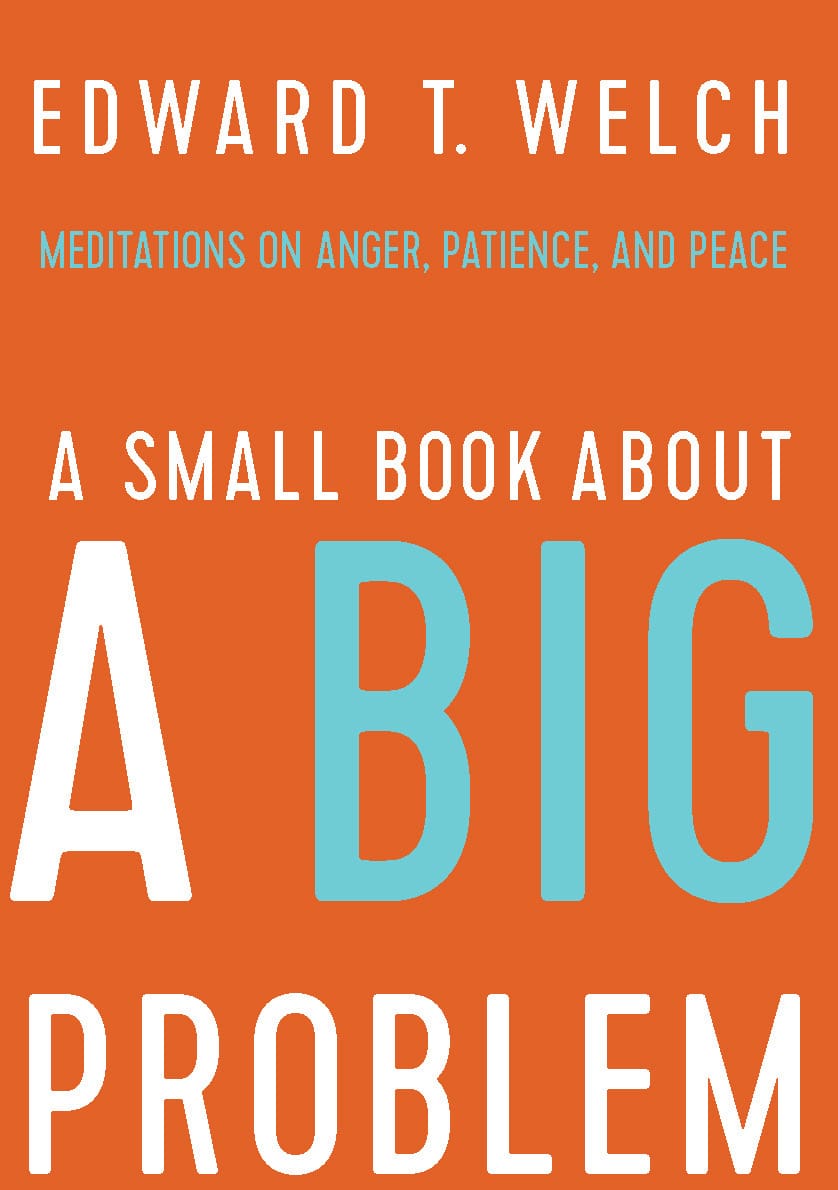 A Small Book About a Big Problem: Meditations on Anger, Patience, and Peace