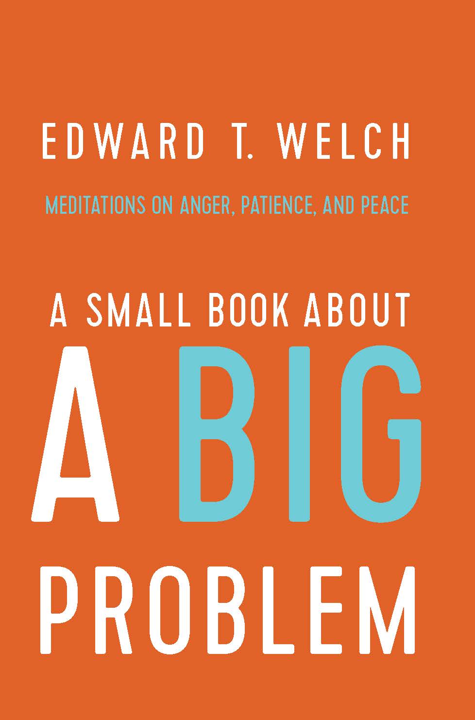 A Small Book About a Big Problem: Meditations on Anger, Patience, and Peace