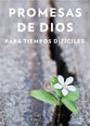 Promesas De Dios Para Tiempos Dificiles (God's Promises When You Are Hurting) (Spanish)