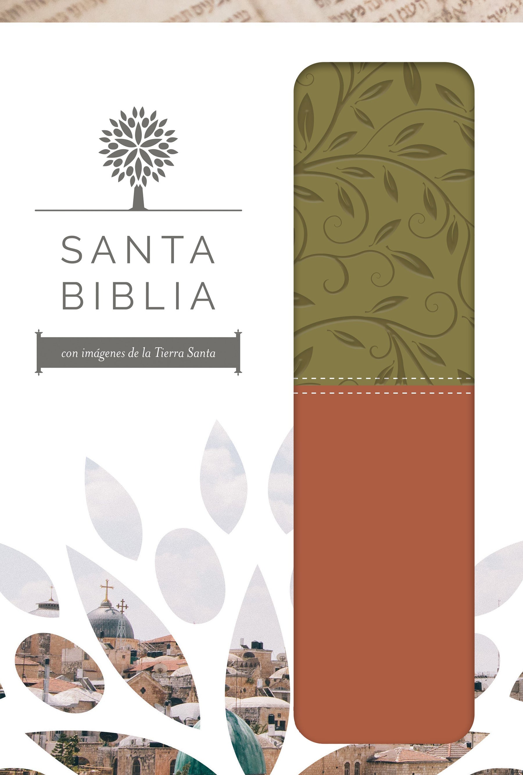 Rvr 1960 Santa Biblia Letra Grande Verde Y Marron Con Caja De Regalo (Red Letter Edition) (The Holy Bible Rvr 1960 - Large Print)