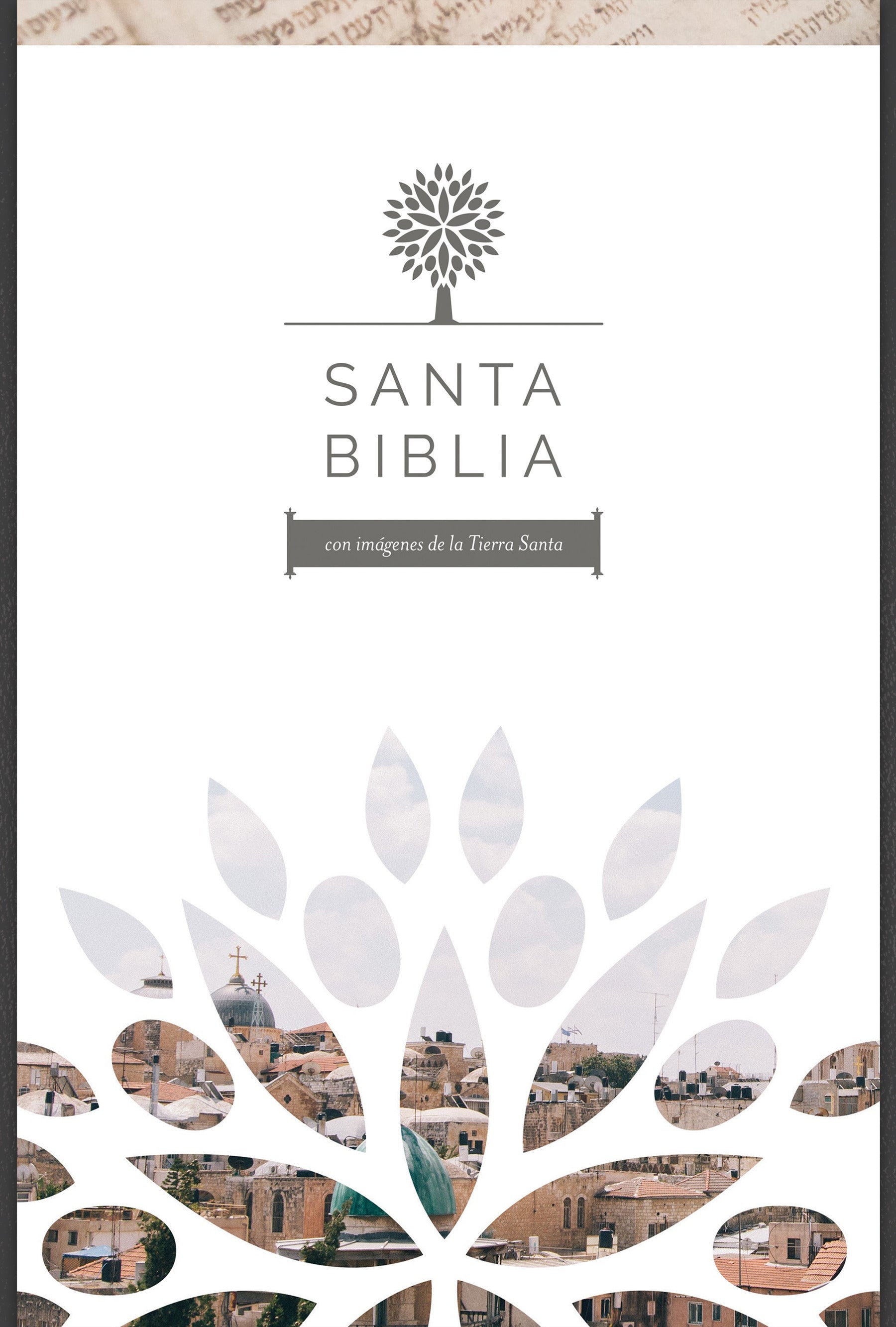 Rvr 1960 Santa Biblia Letra Grande (Red Letter Edition) (The Holy Bible Rvr 1960 - Large Print)
