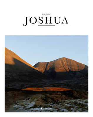 NLT Alabaster Joshua