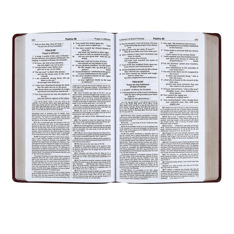 NCB Gift & Award Bible, Burgundy (Red Letter Edition)
