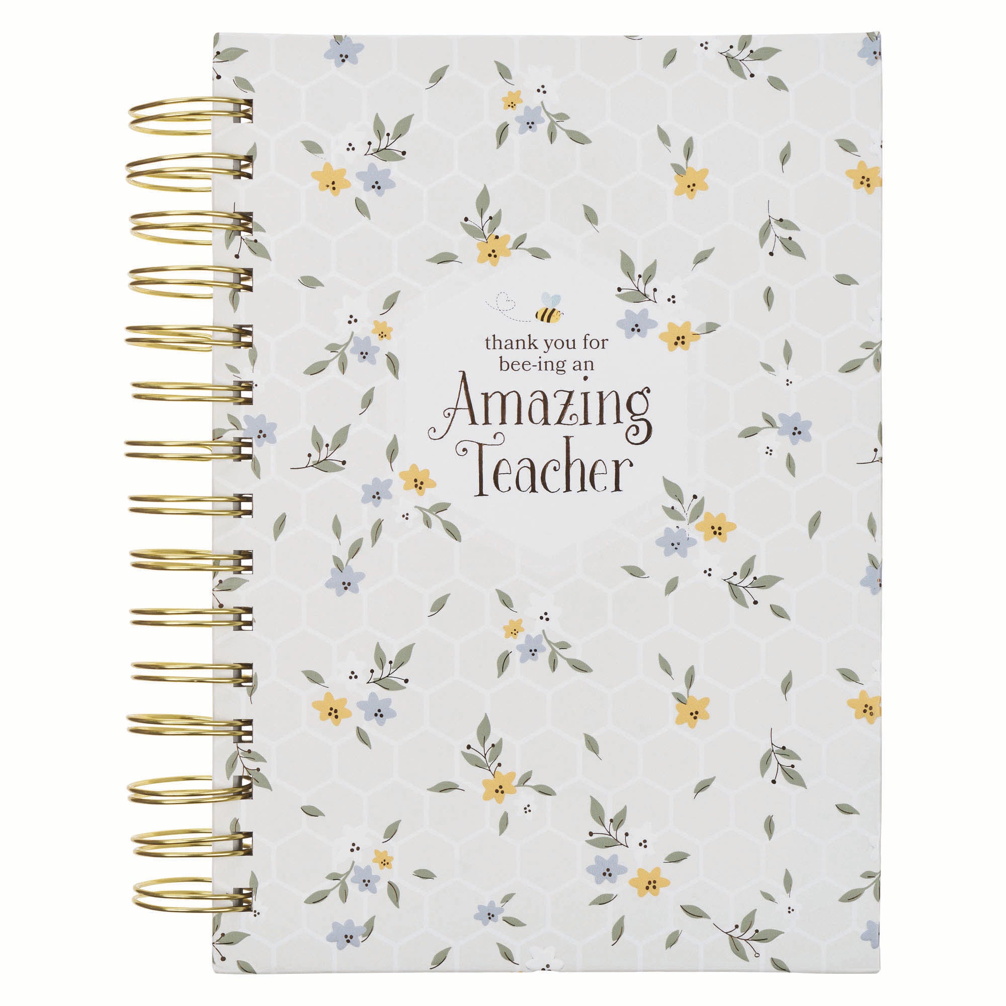 Journal: Amazing Teacher