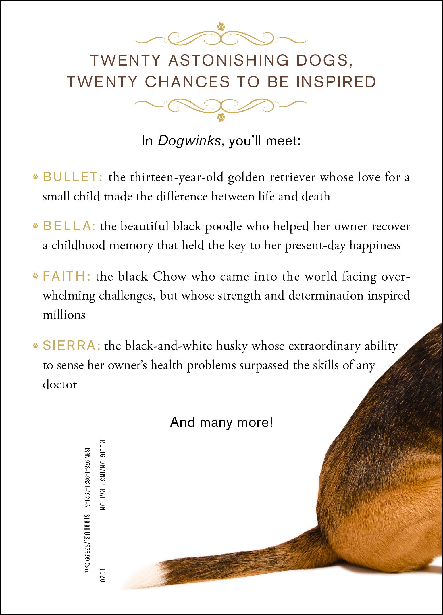 Dogwinks: True Godwink Stories of Dogs and the Blessings They Bring