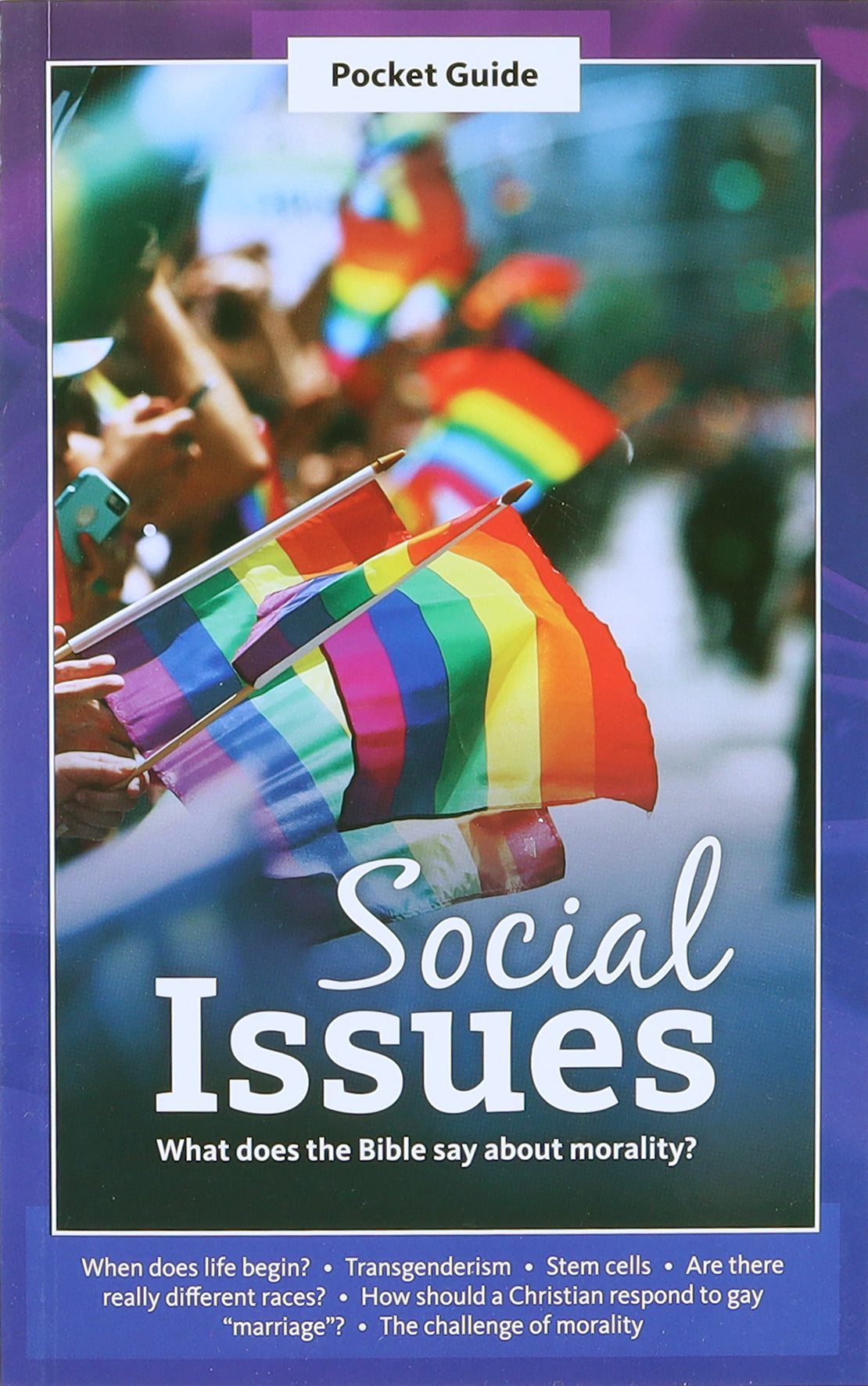 Social Issues: What Does the Bible Say About Morality? (A Pocket Guide To Series)