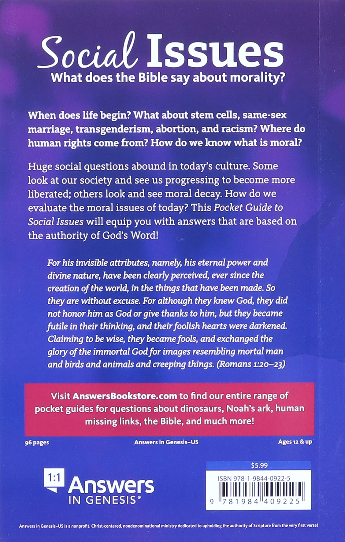 Social Issues: What Does the Bible Say About Morality? (A Pocket Guide To Series)