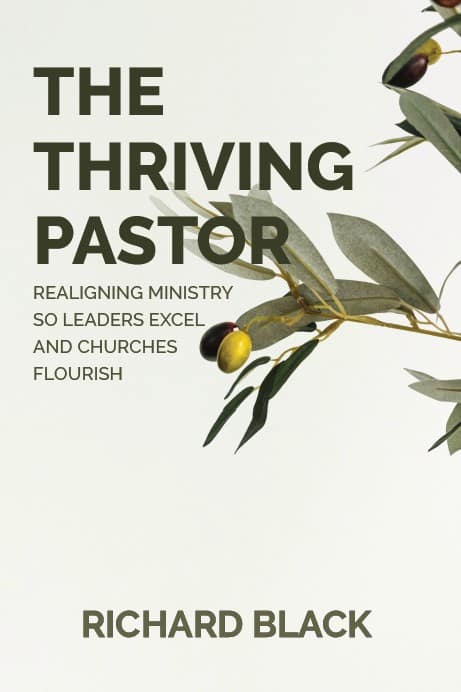The Thriving Pastor: Realigning Ministry so Leaders Excel and Churches Flourish