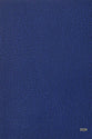 Novum Testamentum Graece Nestle-Aland 28Th Edition With Dictionary (German) (Na28) (Novum Testamentum Graece Series).