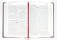 Persian Bible in Contemporary Language (Farsi)
