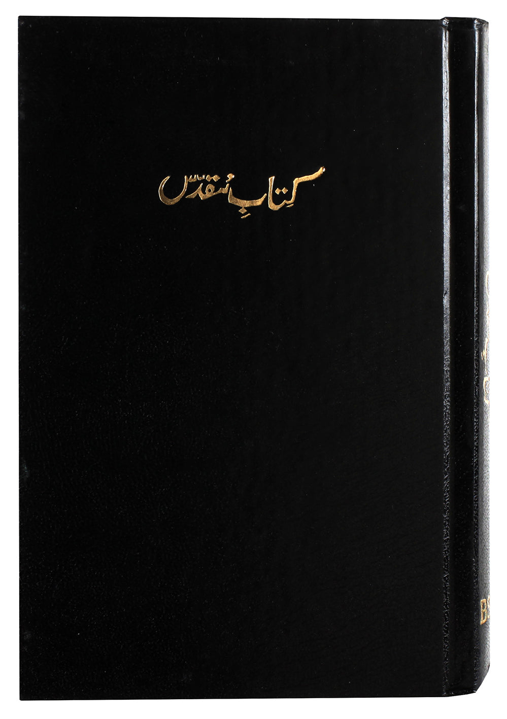 Urdu Bible Traditional Translation