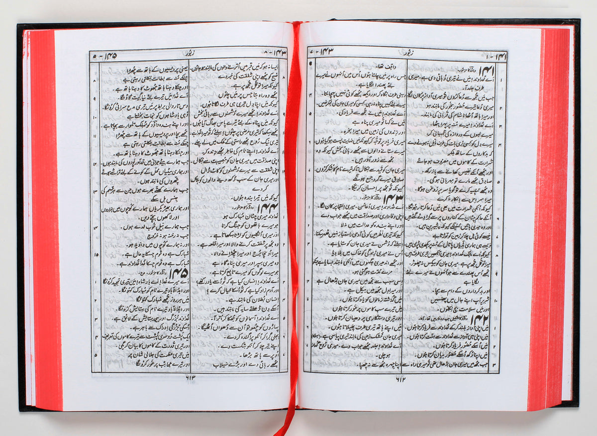 Urdu Bible Traditional Translation