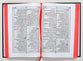 Urdu Bible Traditional Translation