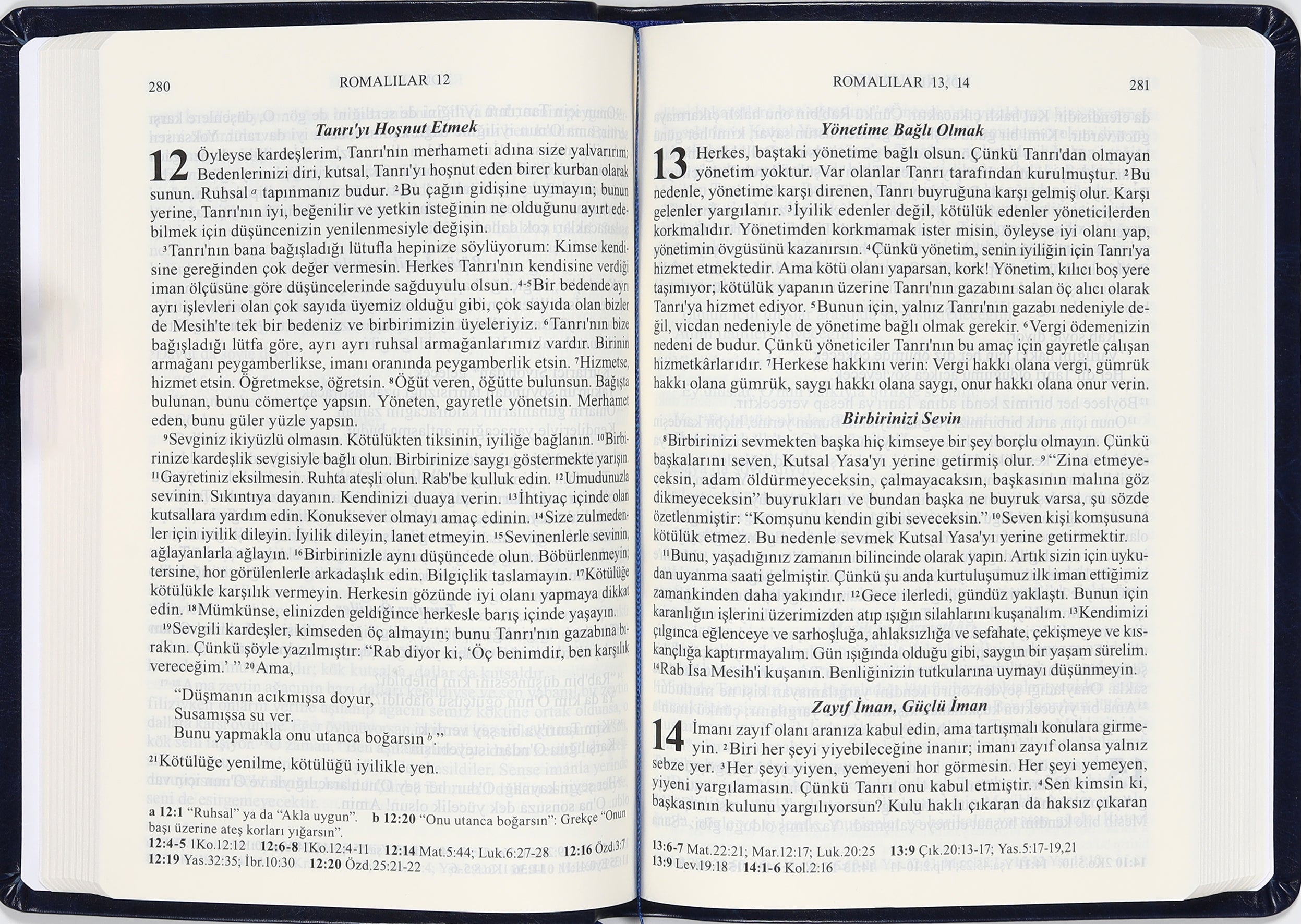 Turkish New Testament Modern Translation