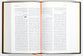 Arabic Bible Traditional Translation